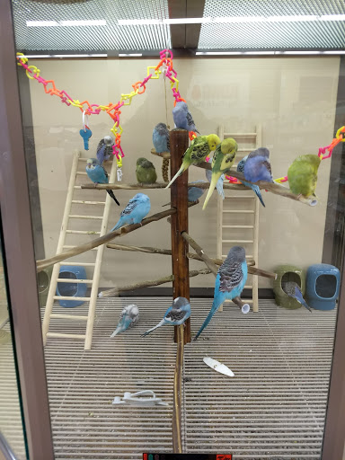 Pet Supply Store «Petco Animal Supplies», reviews and photos, 600 NE Vivion Rd, Kansas City, MO 64118, USA