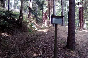 Arboretum Sulzbach an der Murr image