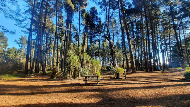 Adrenalin Forest Bay of Plenty Phone number