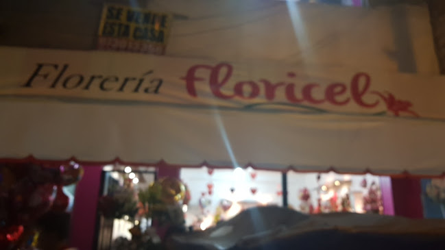Comentarios y opiniones de Floreria Floricel