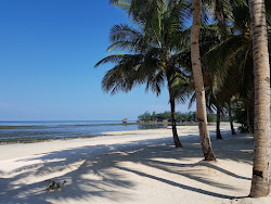 Bulabog South Beach'in fotoğrafı - rahatlamayı sevenler arasında popüler bir yer