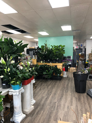 Florist «Kinsch Village Florist & Garden Center», reviews and photos, 301 Johnson St, Palatine, IL 60067, USA