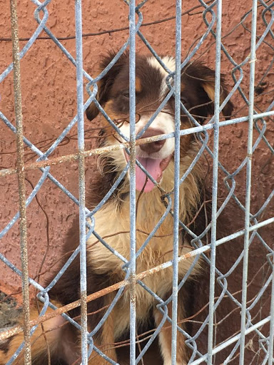 Pet Store «Pets Around the World», reviews and photos, 3260 W New Haven Ave B, West Melbourne, FL 32904, USA