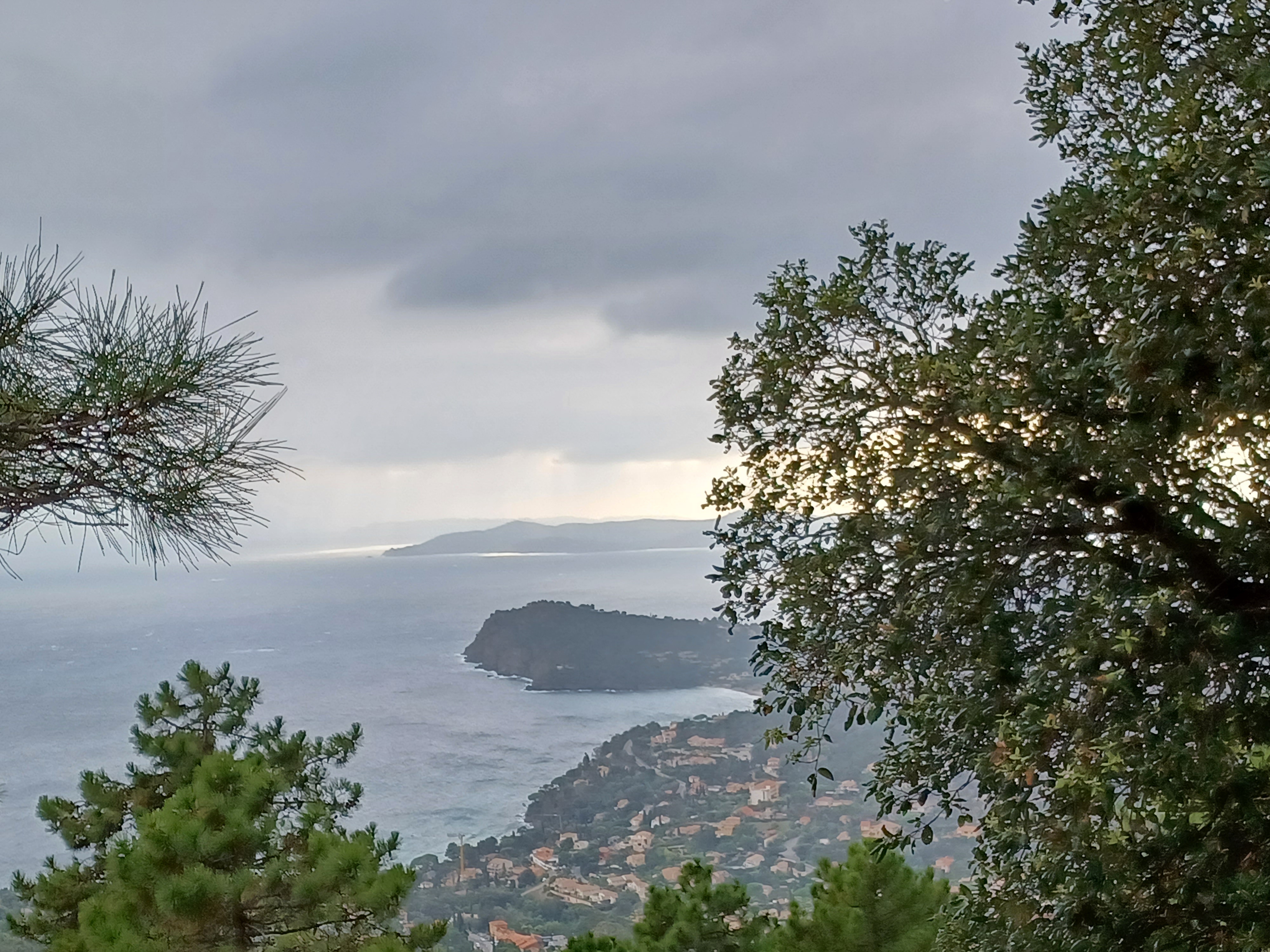 Photo n° 5 de l'avis de AM. fait le 13/11/2023 à 11:28