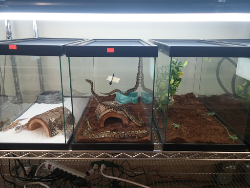 Reptile Store «Jurassic Pet Supplies», reviews and photos, 695 W Holt Ave #104, Pomona, CA 91768, USA