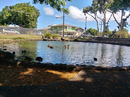 Kunawai Springs Urban Park