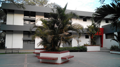 Instituto Confucio