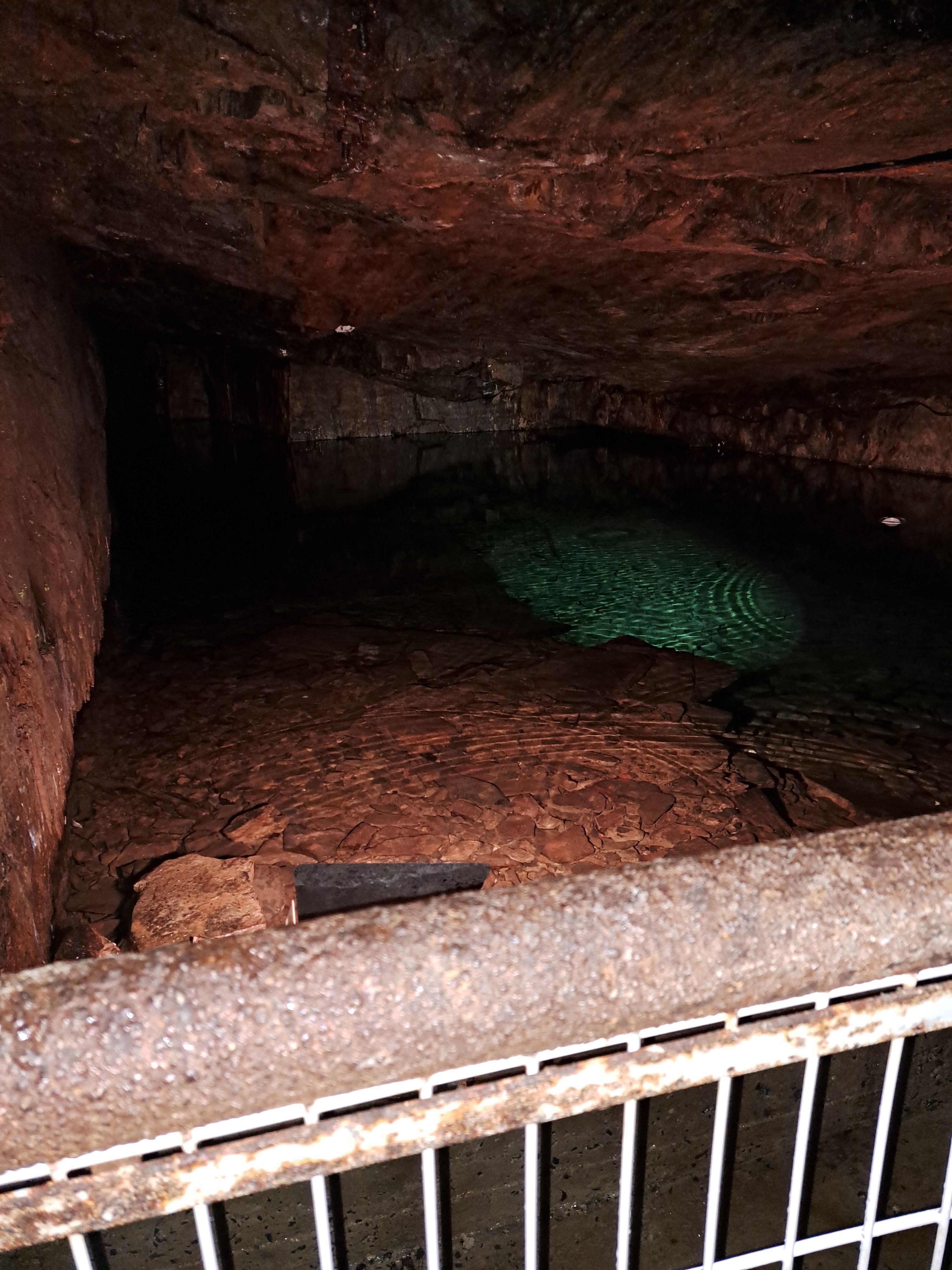 Photo n° 1 de l'avis de Josi.i fait le 17/08/2023 à 04:36