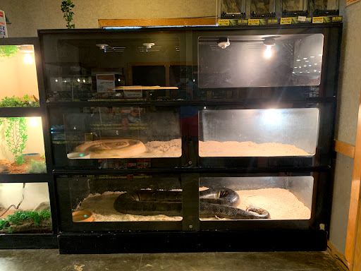 Pet Store «Miles of Exotics», reviews and photos, 8350 N Broadway, Kansas City, MO 64118, USA