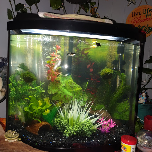 Pet Supply Store «Pet Supermarket», reviews and photos, 3201 Macon Rd #163, Columbus, GA 31906, USA