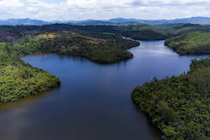 Lagoa do Jacaré image