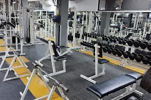 Bodz Gym image