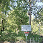 Photo n°15 de l'avis de Siegfried.c fait le 22/08/2022 à 15:41 sur le  Tea House in Weissenburg Park à Stuttgart