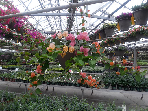 Garden Center «H J Benken Florist & Garden», reviews and photos, 6000 Plainfield Rd, Cincinnati, OH 45213, USA