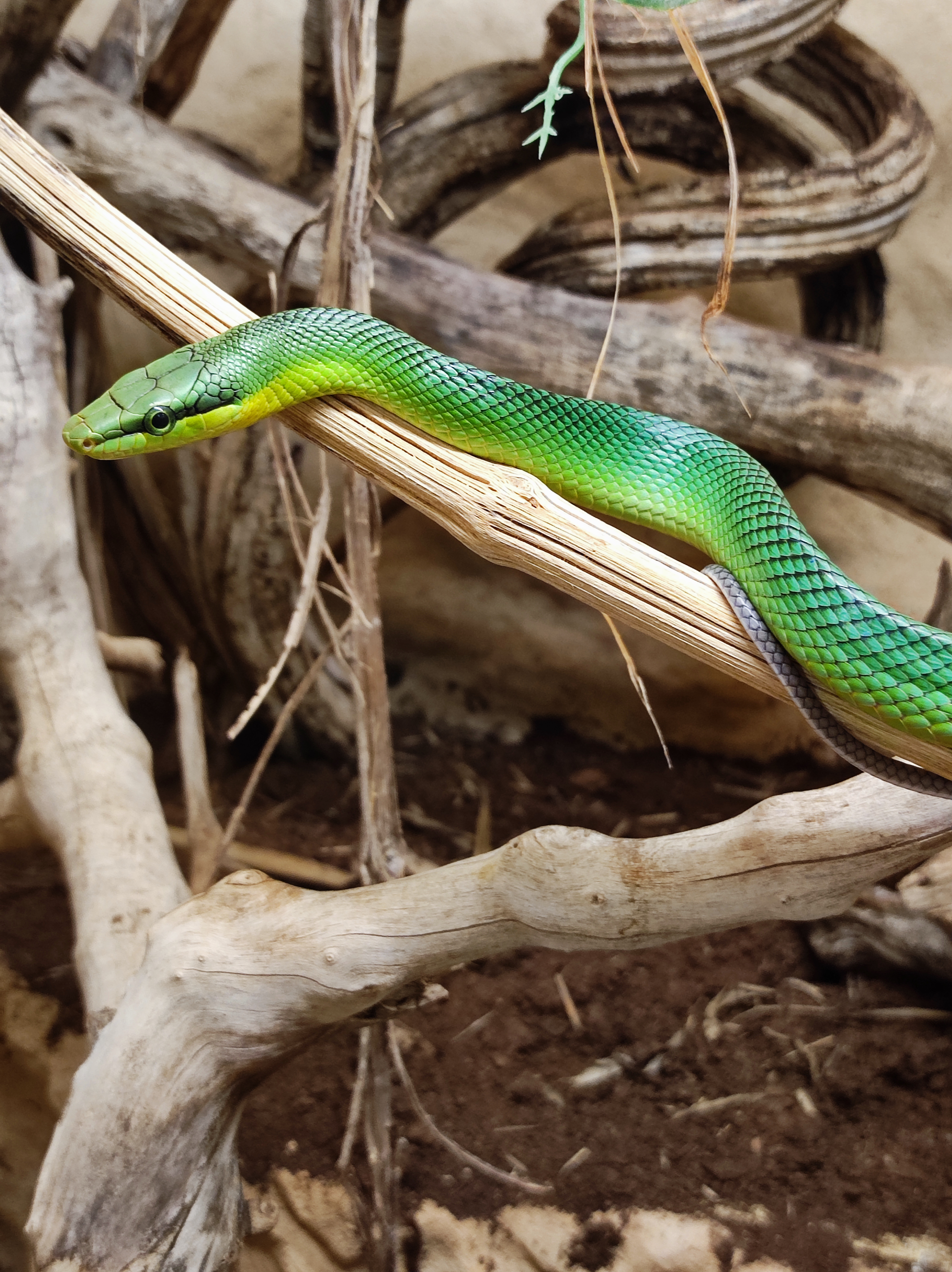 Photo n° 6 de l'avis de Kévin.u fait le 27/02/2023 à 19:47