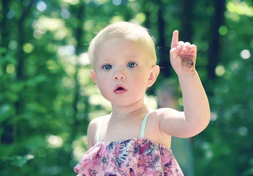 Nature Preserve «Sadsbury Woods Preserve», reviews and photos, Ramblewood Dr & Northwood Dr, Coatesville, PA 19320, USA