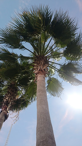 Theme Park «Fun Spot America Theme Parks-Orlando», reviews and photos, 5700 Fun Spot Way, Orlando, FL 32819, USA