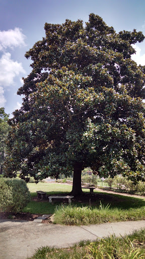 Southern Restaurant (US) «Blue Willow Inn Restaurant & Gift Shop», reviews and photos, 294 N Cherokee Rd, Social Circle, GA 30025, USA