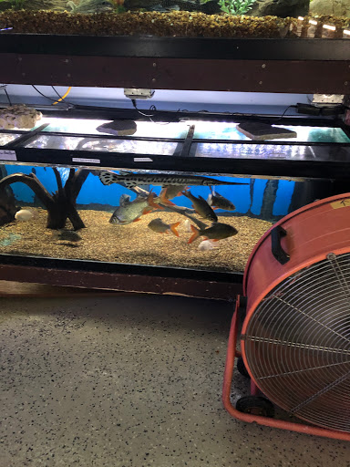 Pet Store «Forest Lake Pets», reviews and photos, 120 Lake St N, Forest Lake, MN 55025, USA