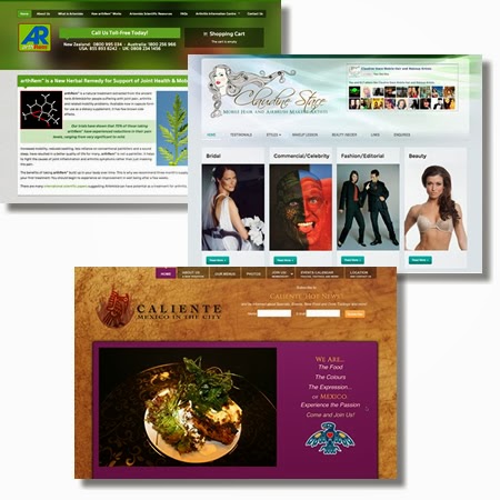 Reviews of Wellington Websites in Levin - Website designer