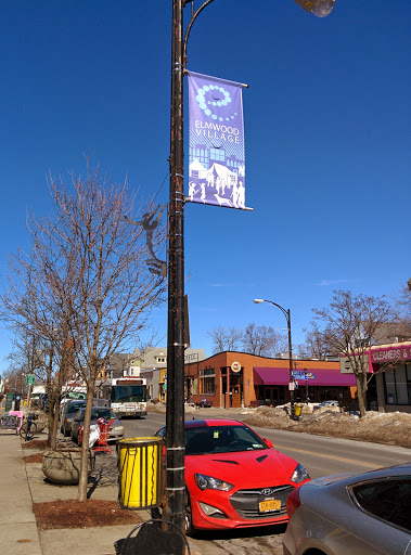 Gift Shop «Everything Elmwood», reviews and photos, 740 Elmwood Ave, Buffalo, NY 14222, USA