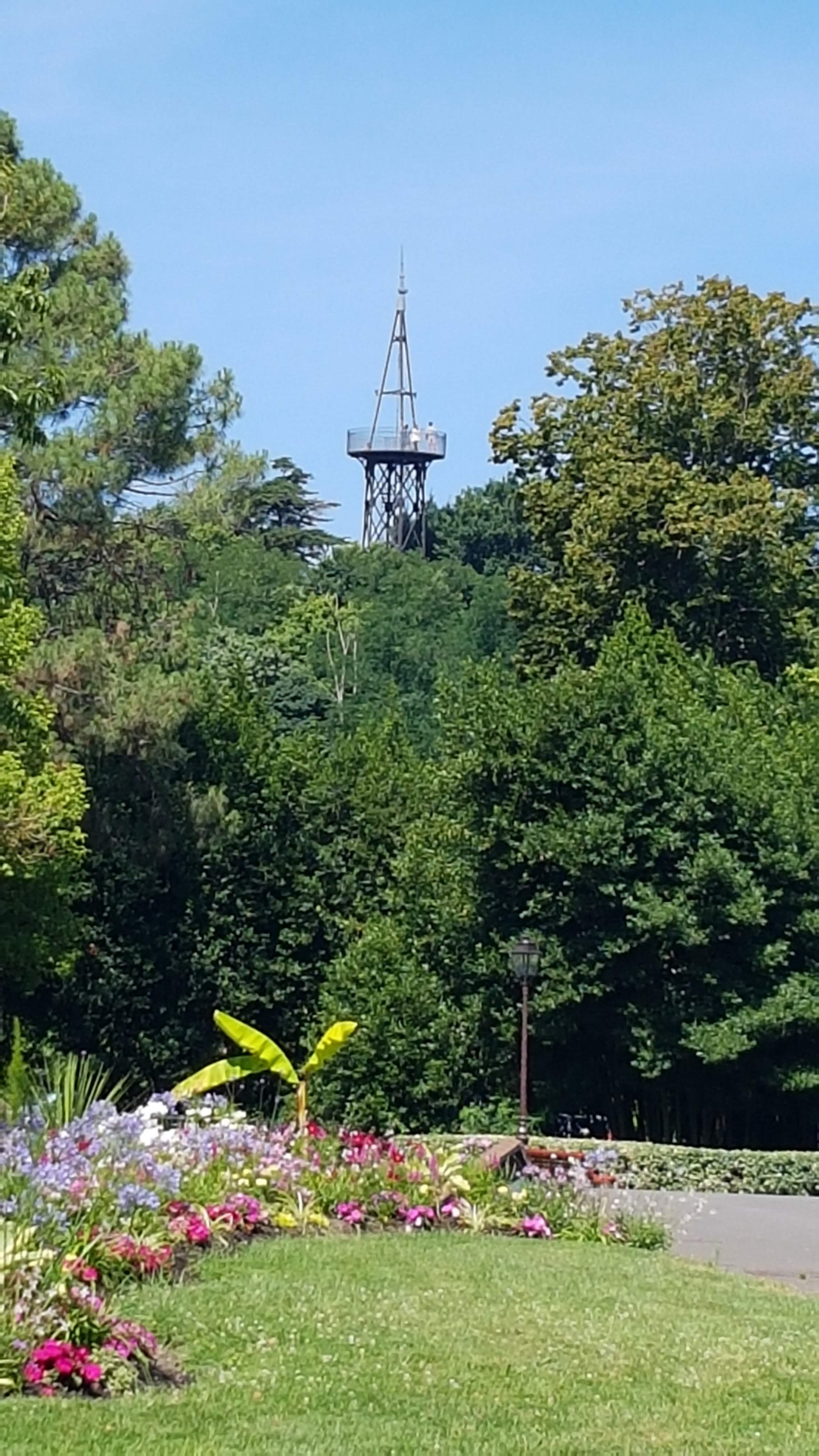 Photo n° 15 de l'avis de Florence. fait le 01/07/2018 à 16:40