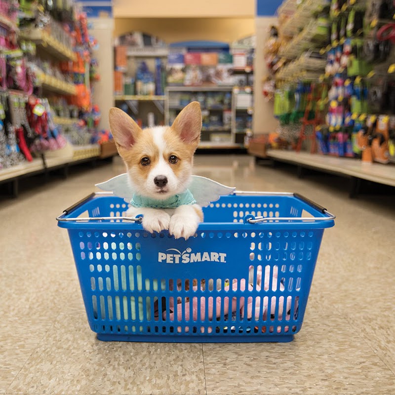 PetSmart