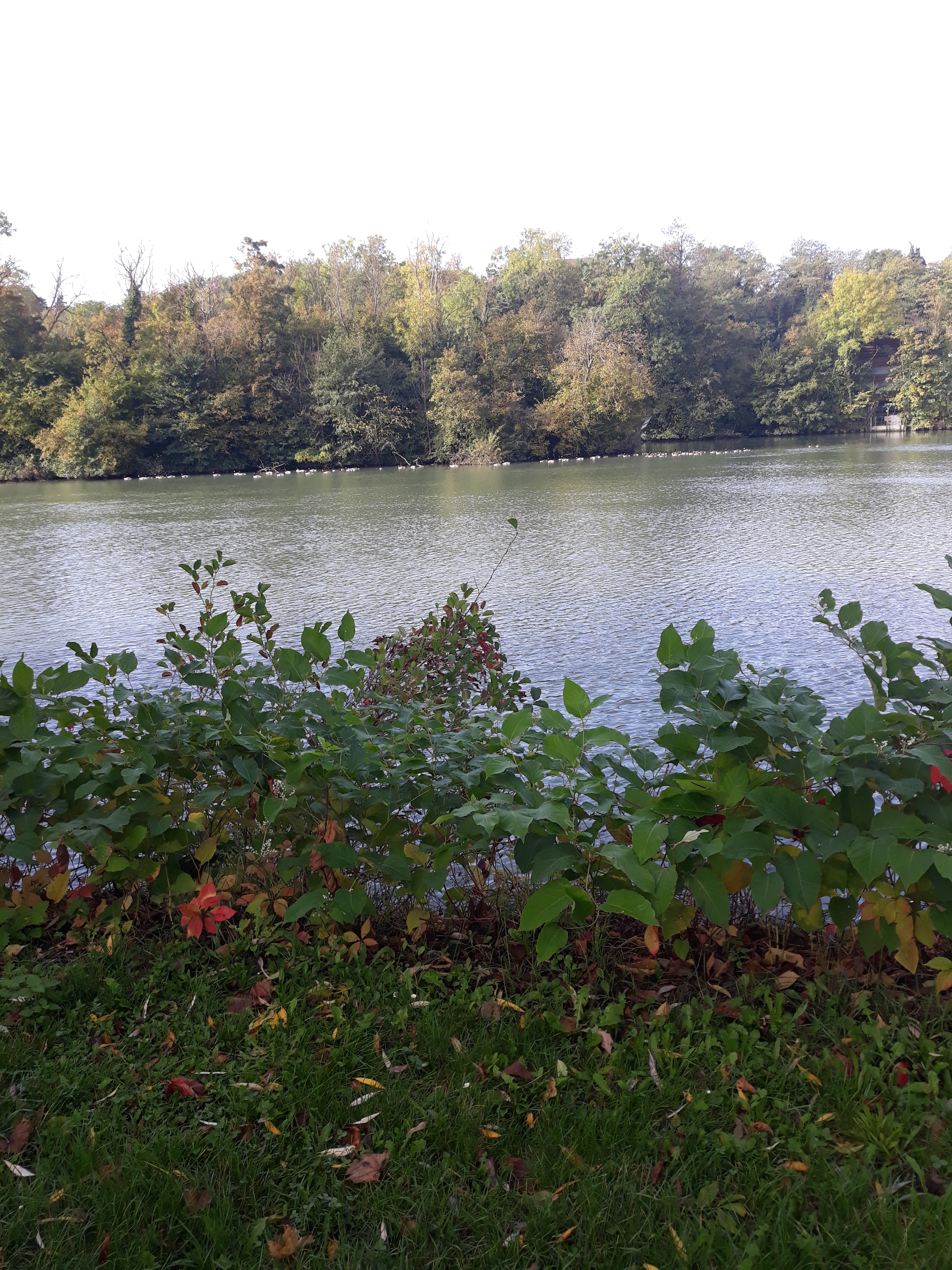 Photo n° 1 de l'avis de Frédérique.r fait le 21/11/2019 à 13:09
