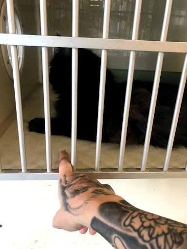 Pet Supply Store «Pet Supplies Plus», reviews and photos, 3340 Sheridan Dr, Amherst, NY 14226, USA