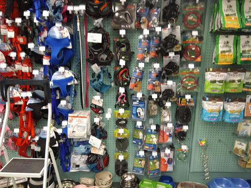 Pet Supply Store «Petland Discounts - Nassau Street», reviews and photos, 132 Nassau St, New York, NY 10038, USA