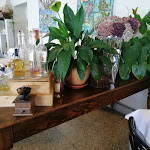 Photo n°22 de l'avis de angela&roberto.t fait le 20/09/2019 à 22:00 sur le  Bella Vista di Meina à Meina