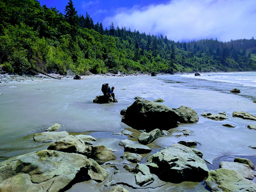 National Park «Olympic National Park», reviews and photos, 3002 Mt Angeles Rd, Port Angeles, WA 98362, USA