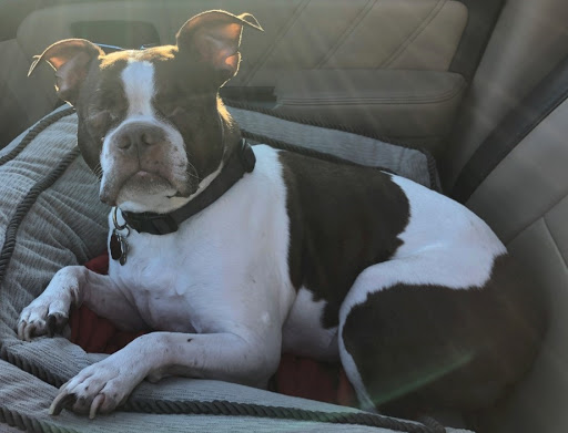 Custom T-shirt Store «Frisco Sports Center», reviews and photos, 8715 Lebanon Rd # 100, Frisco, TX 75034, USA