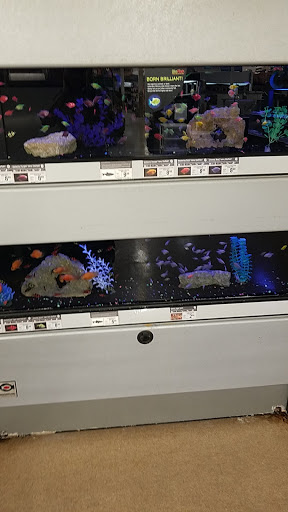 Pet Supply Store «Petco Animal Supplies», reviews and photos, 8909 Branch Ave d, Clinton, MD 20735, USA