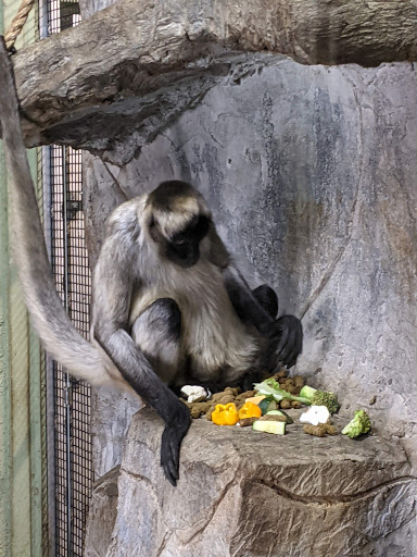 Zoo «Washington Park Zoo», reviews and photos, 115 Lake Shore Dr, Michigan City, IN 46360, USA