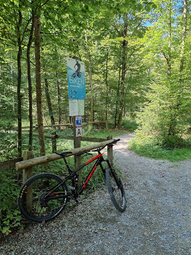 Rezensionen über Bike Trail Adlisberg - Elif Trail in Zürich - Fahrradgeschäft