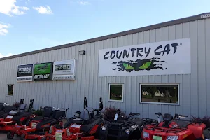 Country Cat image