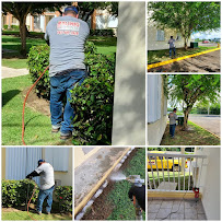 Raunig Xterminating - Photo 3 - Car repair in , San Juan