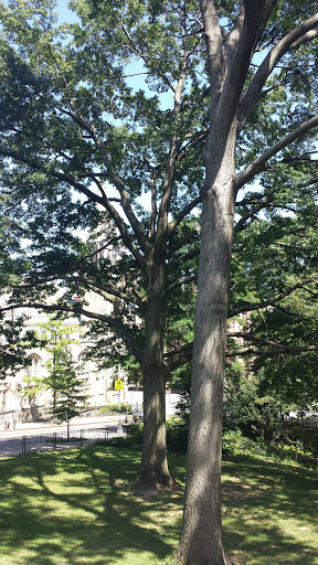 National Park «Hamilton Grange National Memorial», reviews and photos, 414 W 141st St, New York, NY 10031, USA