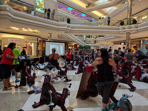 Shopping Mall «MacArthur Center», reviews and photos, 300 Monticello Ave, Norfolk, VA 23510, USA