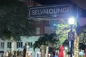 Selva Downtown Sarasota image