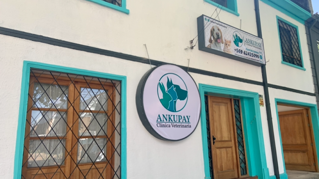 Opiniones de Clínica Veterinaria Ankupay en Talca - Veterinario