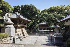 Hotsumisakiji Temple image