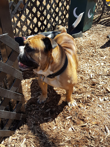 Pet Supply Store «The Hungry Puppy», reviews and photos, 1288 NJ-33, Farmingdale, NJ 07727, USA