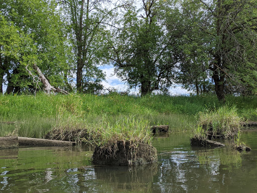 Canoe & Kayak Rental Service «Scappoose Bay Paddling Center», reviews and photos, 57420 Old Portland Rd, Warren, OR 97053, USA