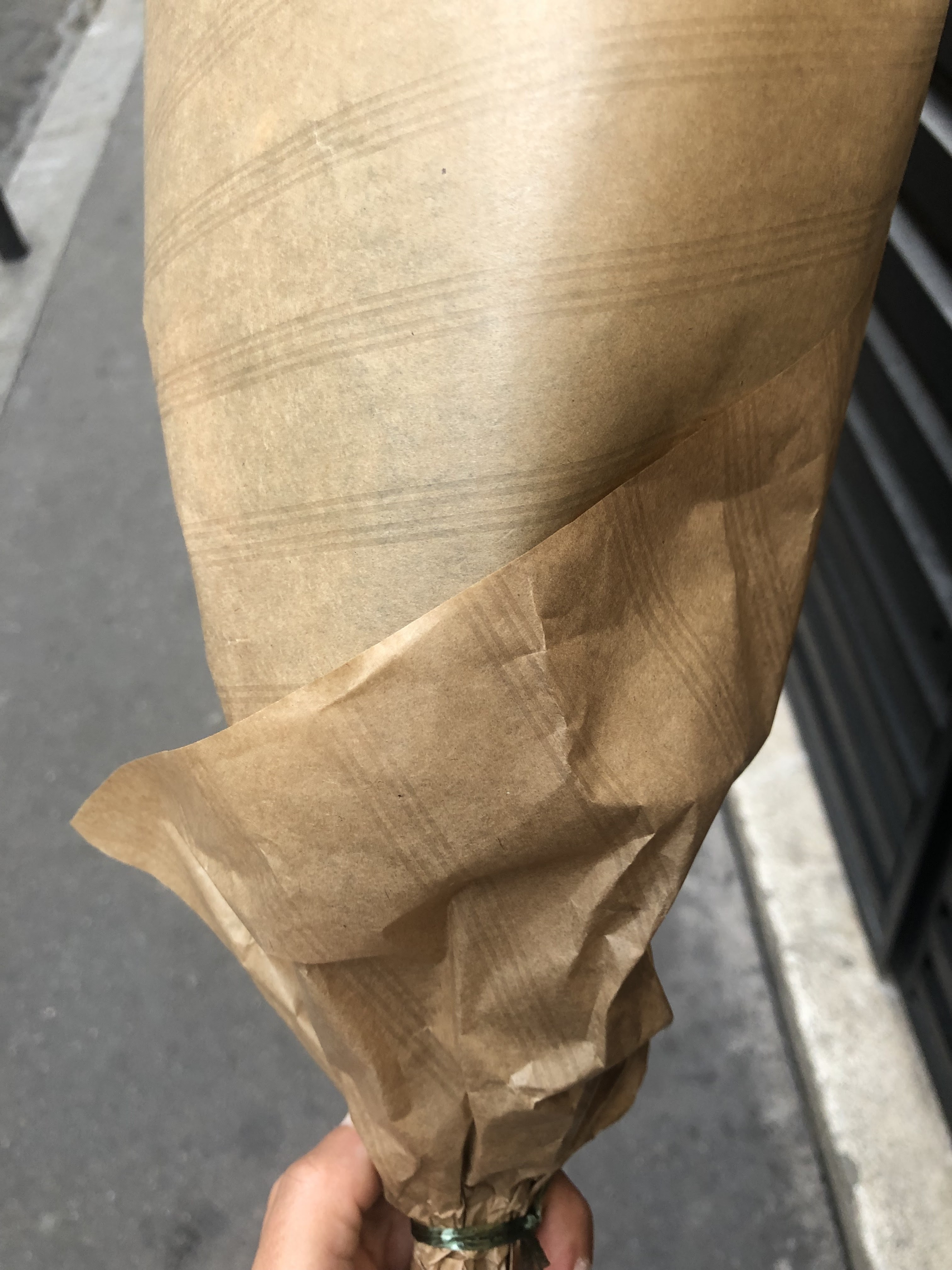 Photo n° 1 de l'avis de Clara.e fait le 13/09/2022 à 16:55