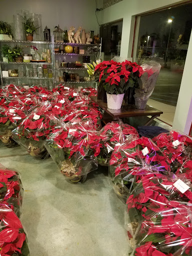 Florist «Artisan Flowers», reviews and photos, 449 Ada Dr SE, Ada, MI 49301, USA