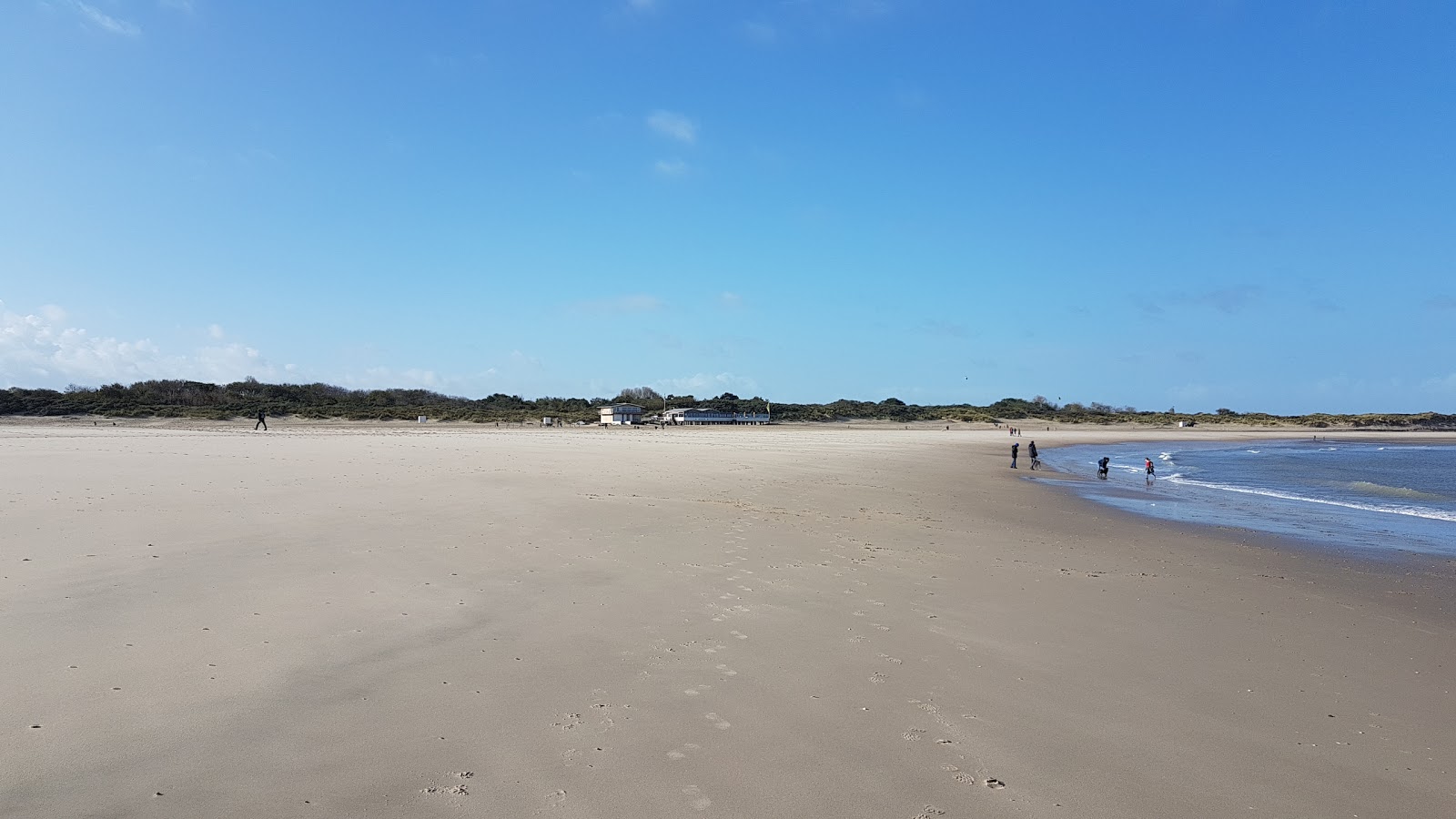 Foto di Spiaggia di Vrouwenpolder con dritto e lungo