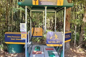 Trounson Kauri Park image