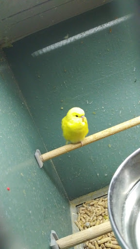 Pet Supply Store «Pet Supplies Plus», reviews and photos, 2471 E State St, Hermitage, PA 16148, USA